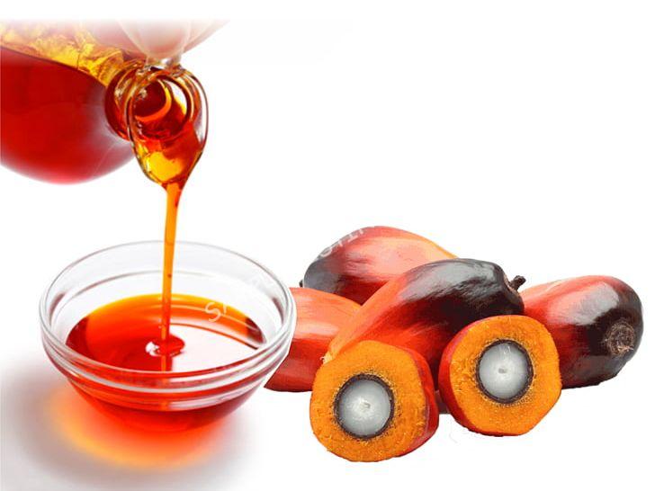 Pure Libya Palm Oil